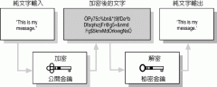 vps服务器传输公用识别码SSL加密